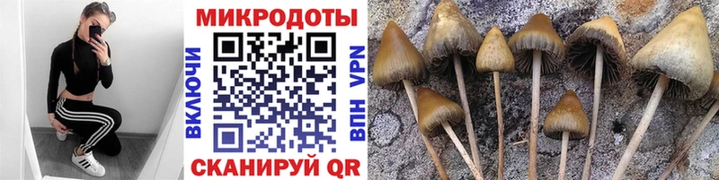 купить наркотики сайты  мега как войти  Галлюциногенные грибы мухоморы  Татарск 